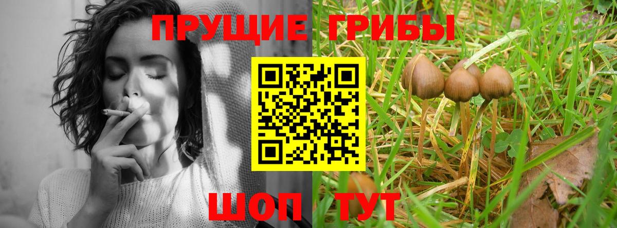 Ростов-на-Дону  Галлюциногенные грибы ЛСД  Вход с VPN 