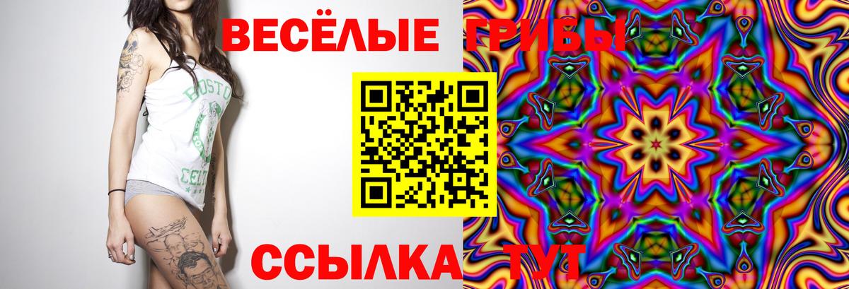 Псилоцибиновые грибы мухоморы Ростов-на-Дону